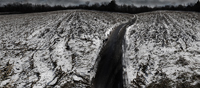 Landscapes Series