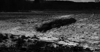 Landscapes Series